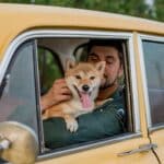 Enjoy Travelling with Your Pets Stress-Free